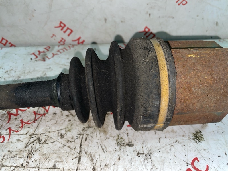 Привод, 4000 рублей, Владимир