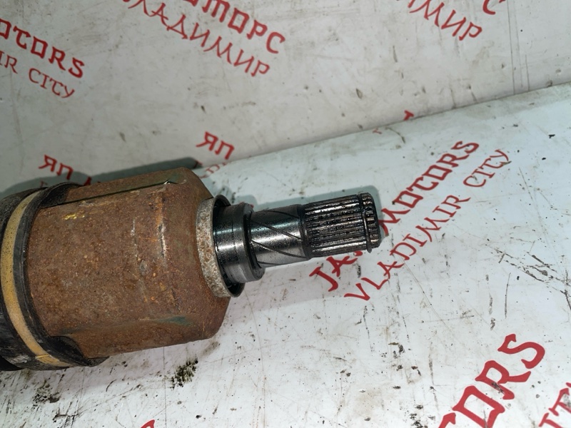 Привод, 4000 рублей, Владимир