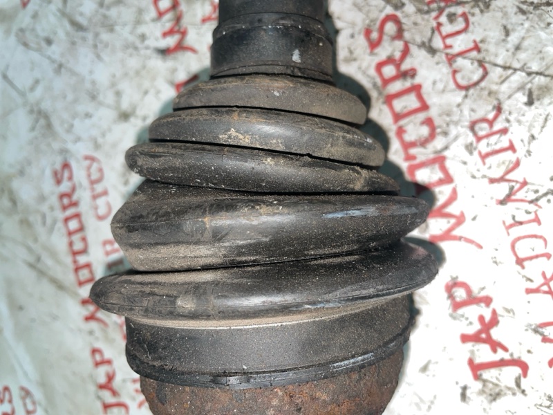 Привод, 5000 рублей, Владимир