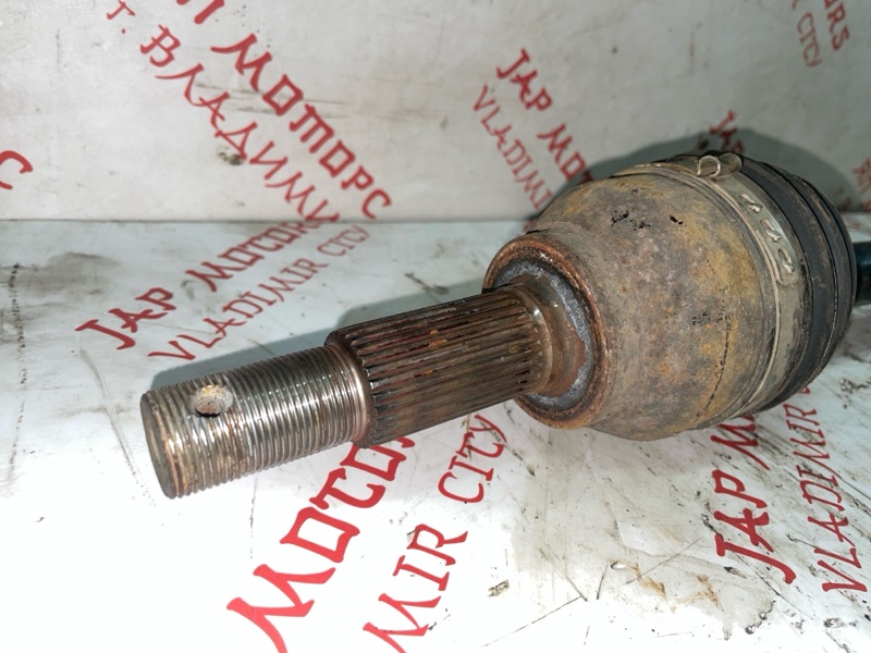 Привод, 6000 рублей, Владимир