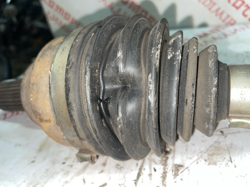 Привод, 6000 рублей, Владимир