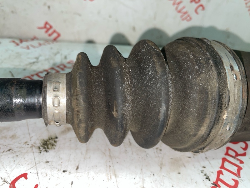 Привод, 6000 рублей, Владимир