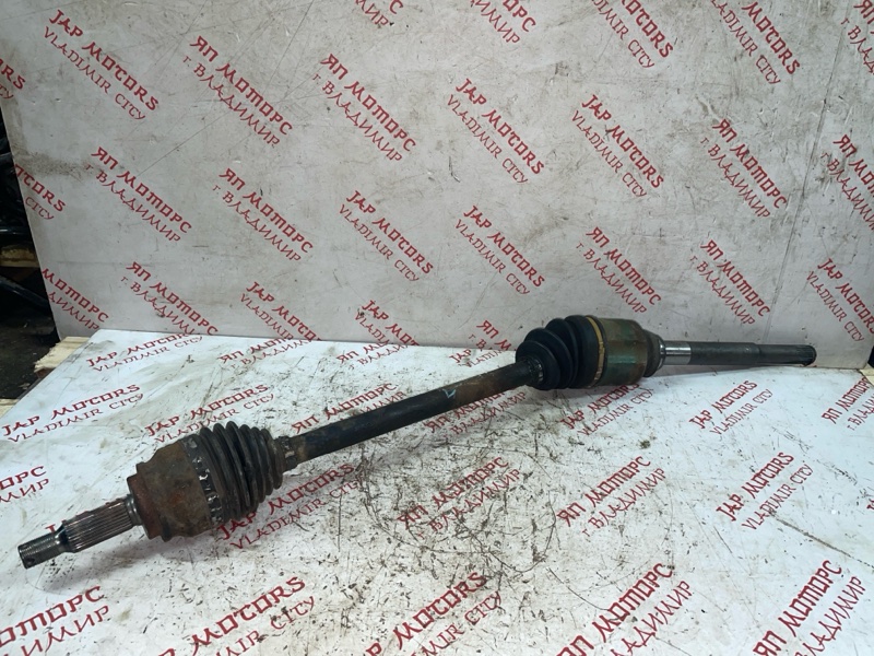 Привод, 4000 рублей, Владимир