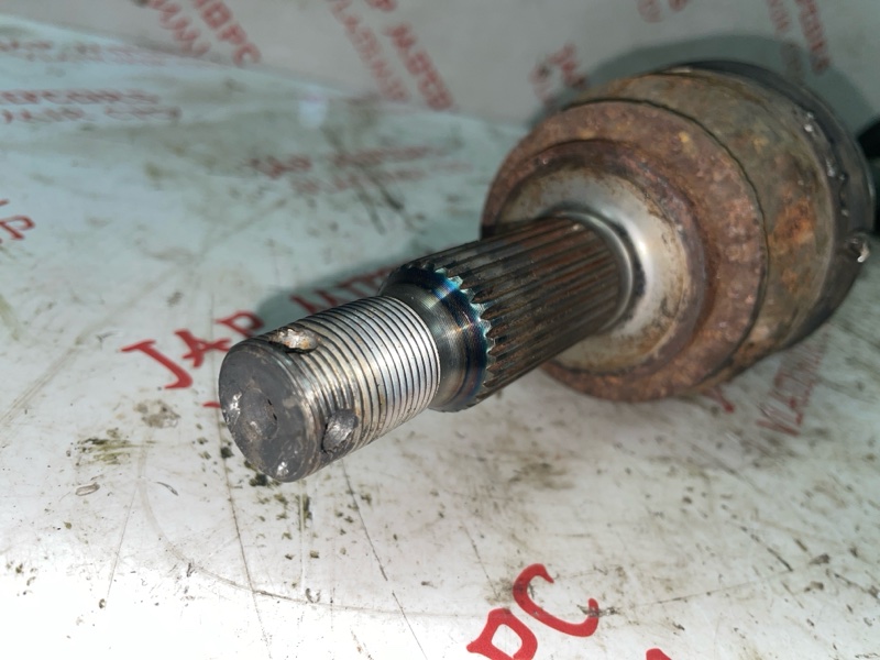 Привод, 4000 рублей, Владимир