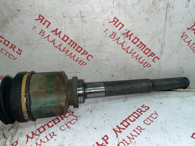 Привод, 4000 рублей, Владимир