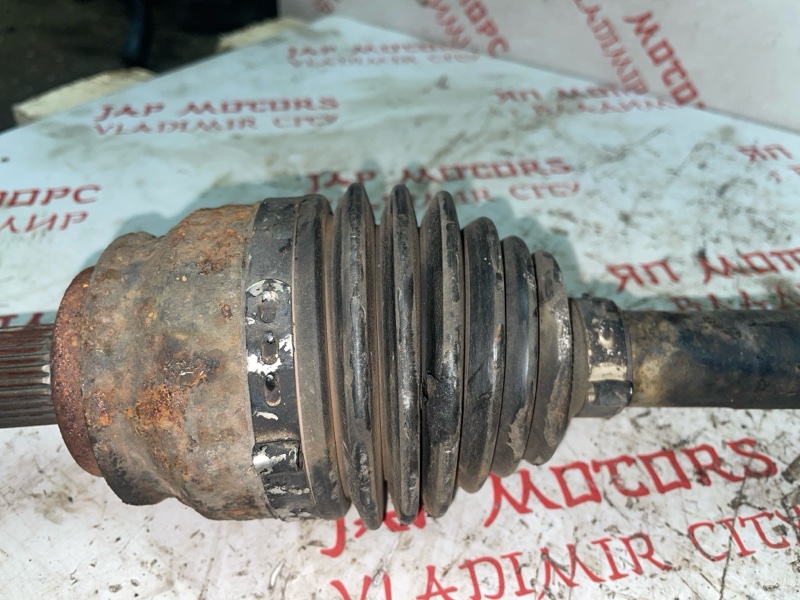 Привод, 4000 рублей, Владимир