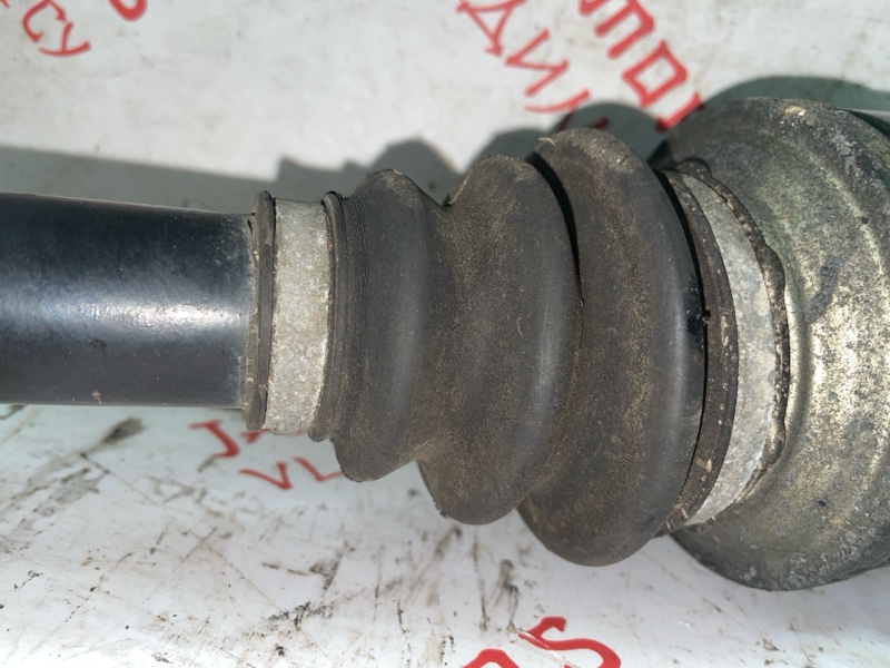 Привод, 3000 рублей, Владимир