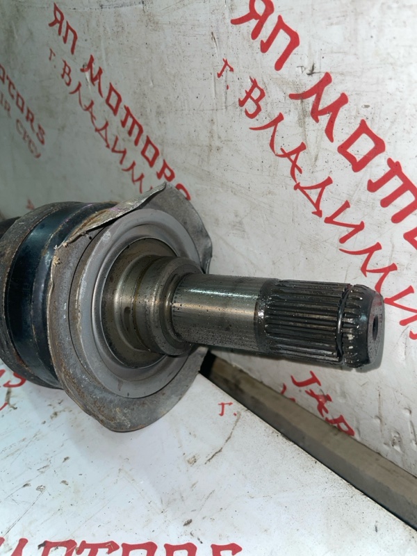 Привод, 3000 рублей, Владимир