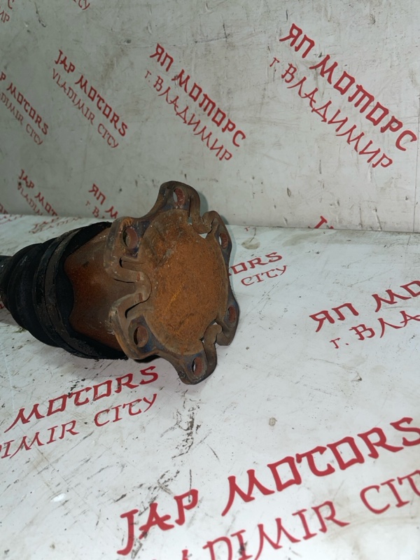 Привод, 5000 рублей, Владимир