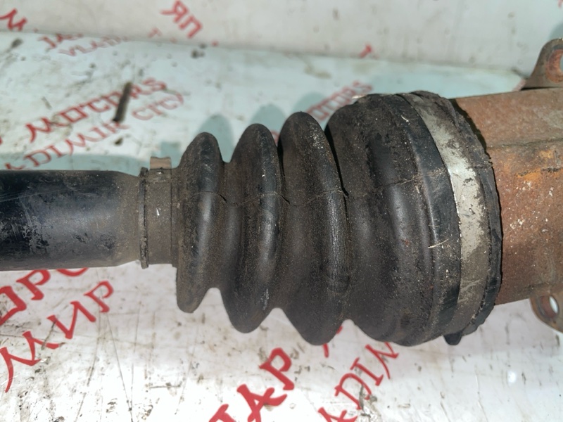 Привод, 5000 рублей, Владимир