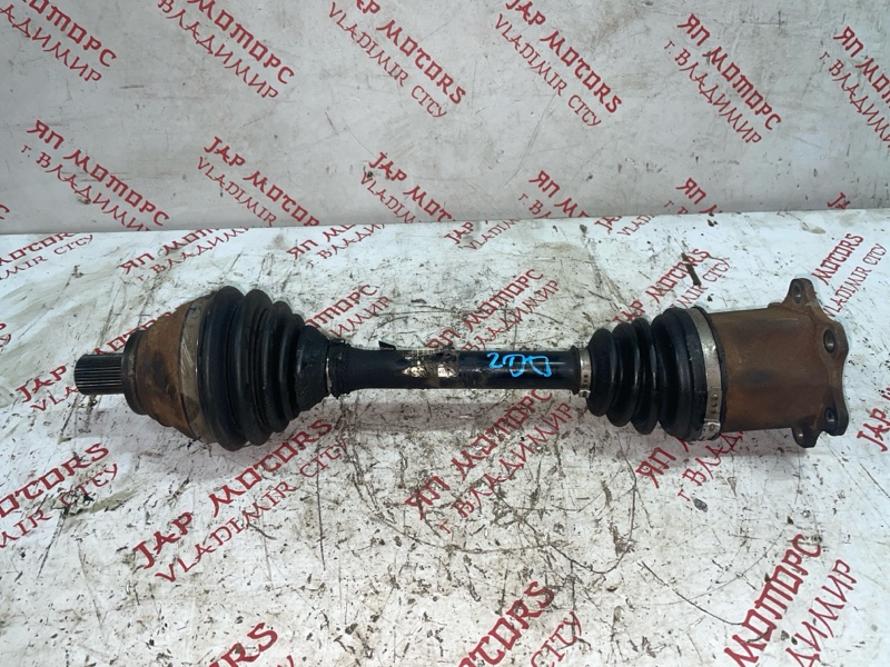 Привод, 5000 рублей, Владимир