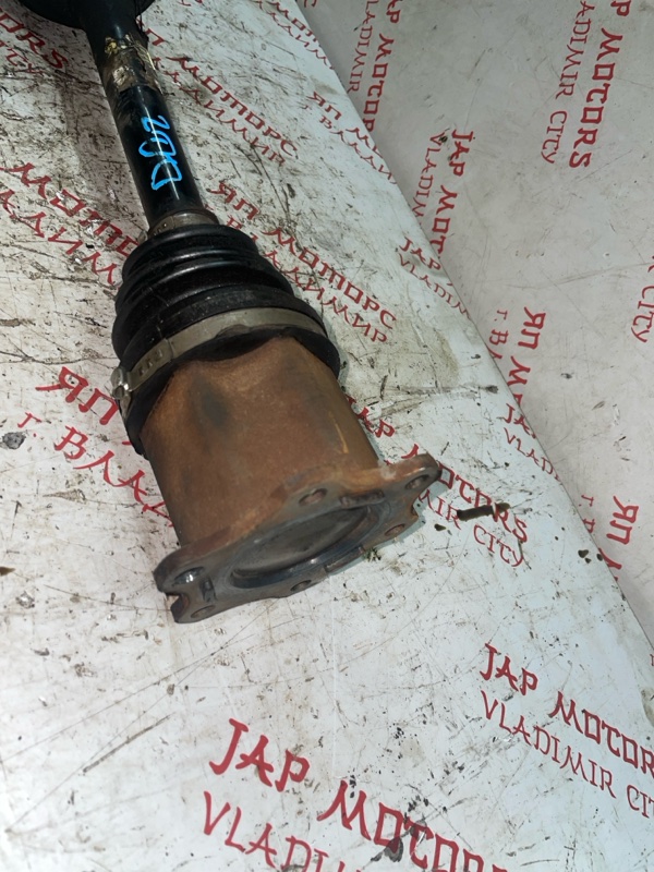 Привод, 5000 рублей, Владимир