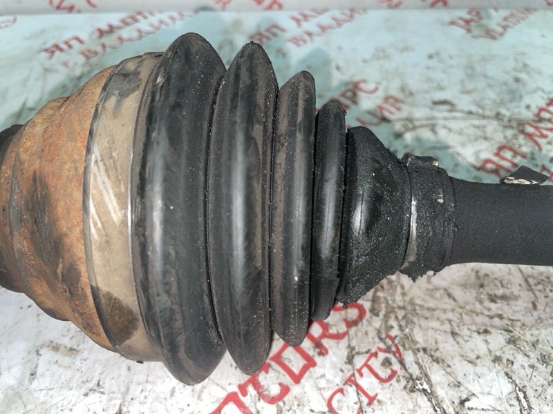 Привод, 5000 рублей, Владимир