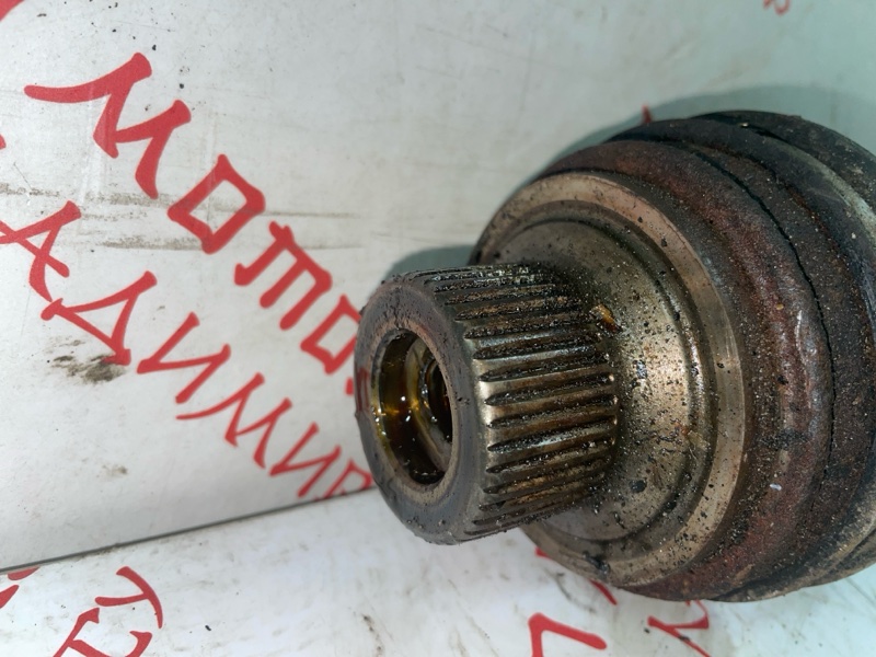 Привод, 2000 рублей, Владимир