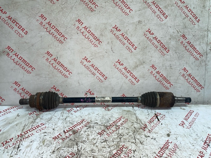 Привод, 5000 рублей, Владимир