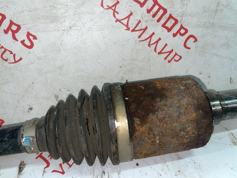 Привод, 5000 рублей, Владимир