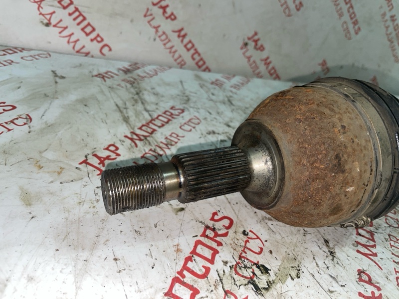 Привод, 5000 рублей, Владимир