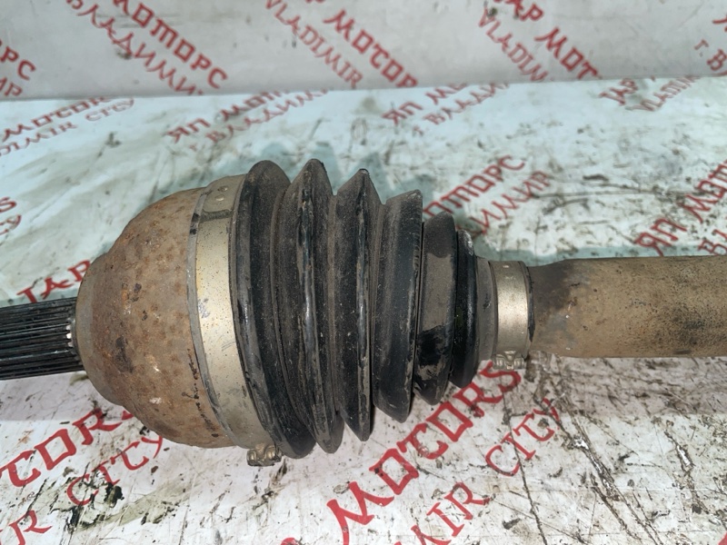 Привод, 5000 рублей, Владимир