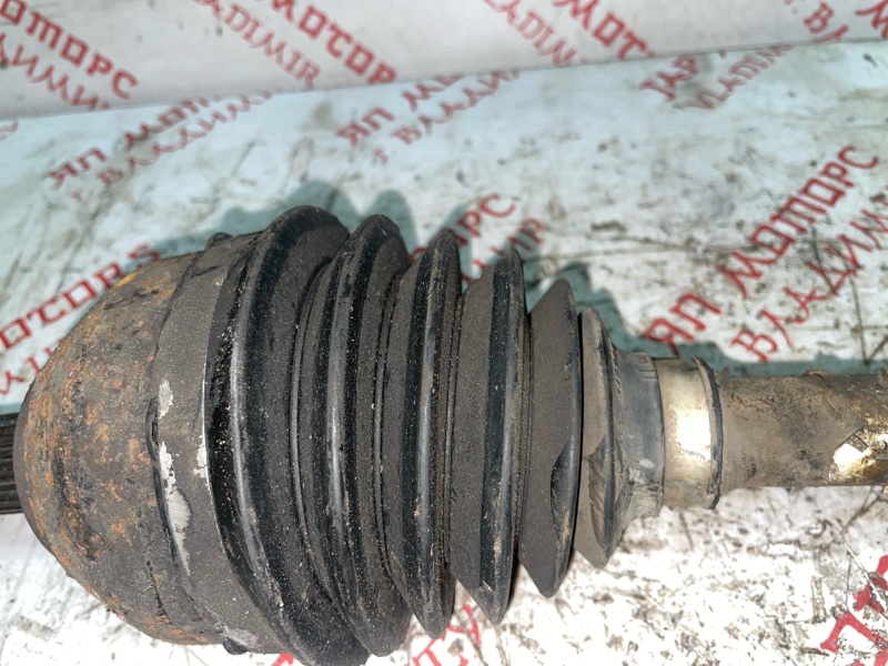 Привод, 25000 рублей, Владимир