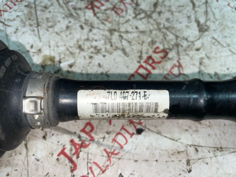 Привод, 3000 рублей, Владимир