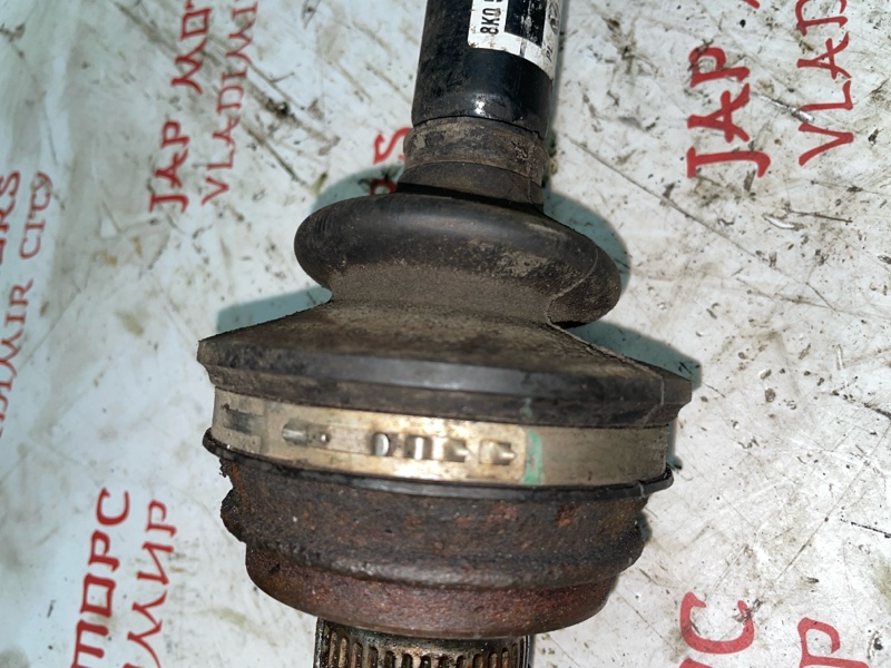 Привод, 2500 рублей, Владимир