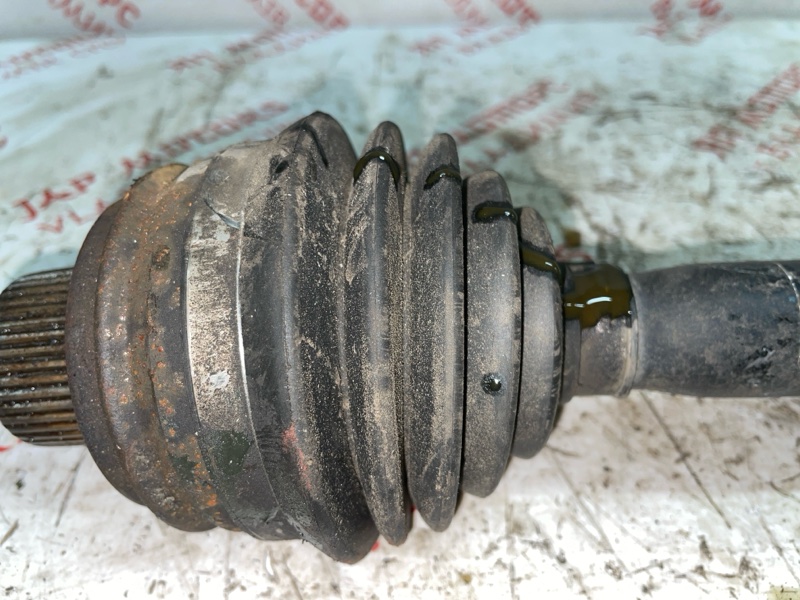 Привод, 3000 рублей, Владимир