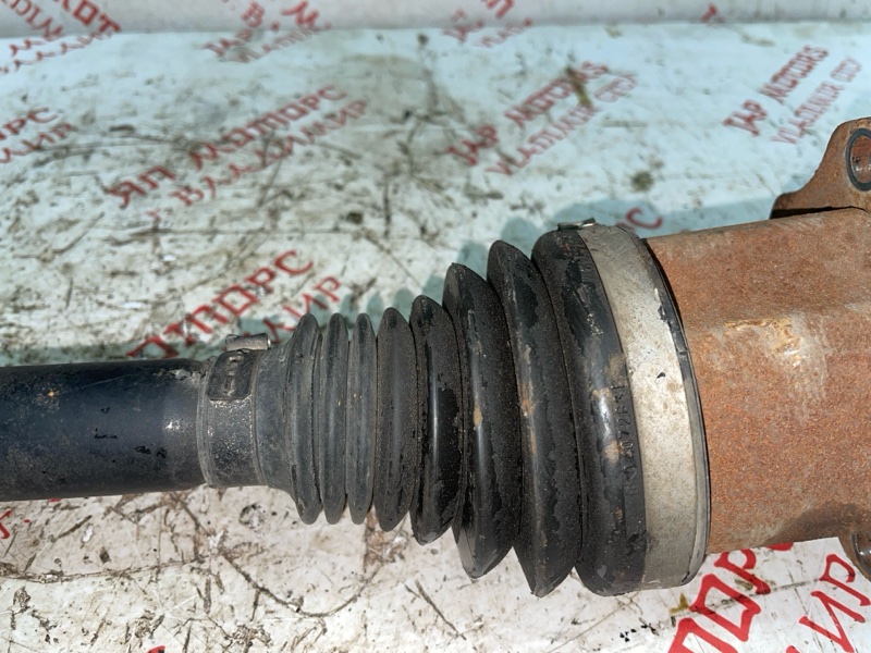 Привод, 3000 рублей, Владимир