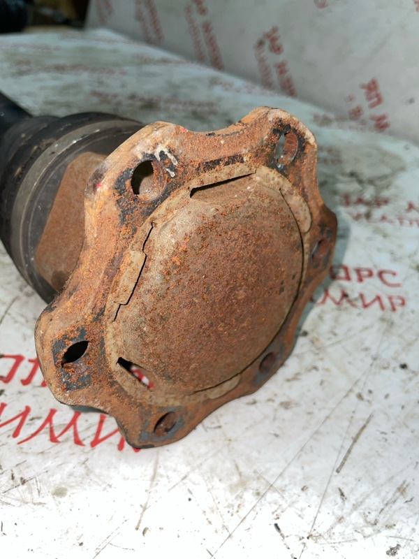 Привод, 3000 рублей, Владимир