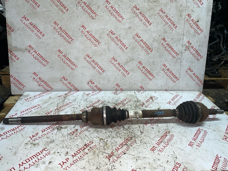 Привод, 7000 рублей, Владимир