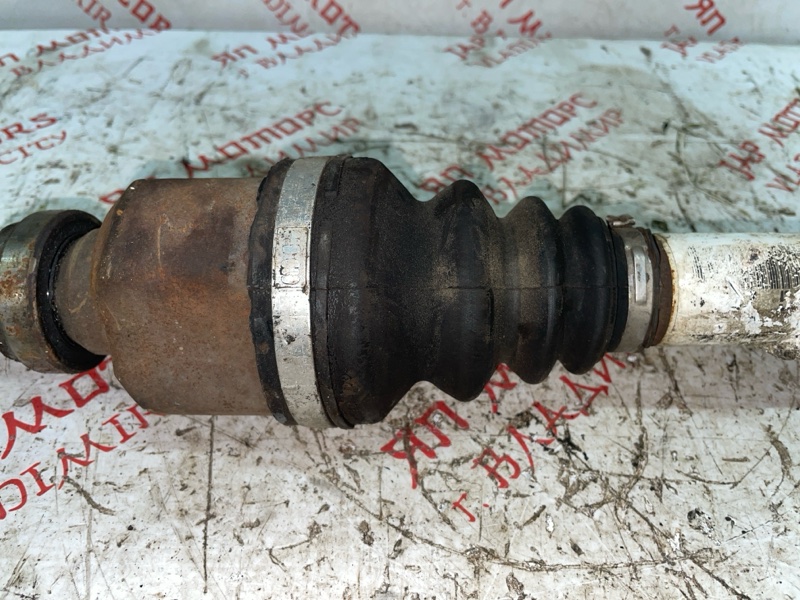 Привод, 7000 рублей, Владимир