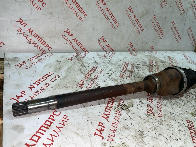 Привод, 7000 рублей, Владимир