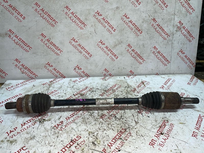 Привод, 2500 рублей, Владимир