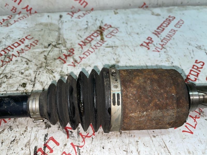 Привод, 2500 рублей, Владимир