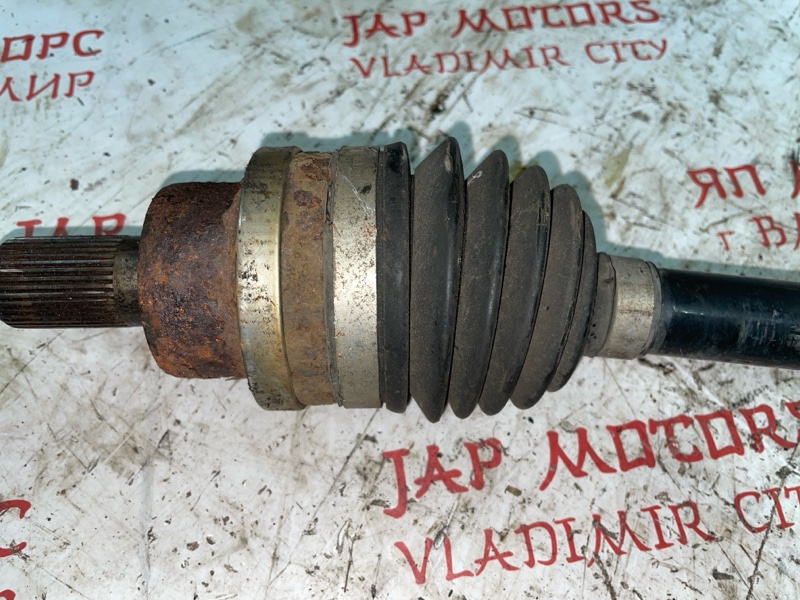 Привод, 2000 рублей, Владимир