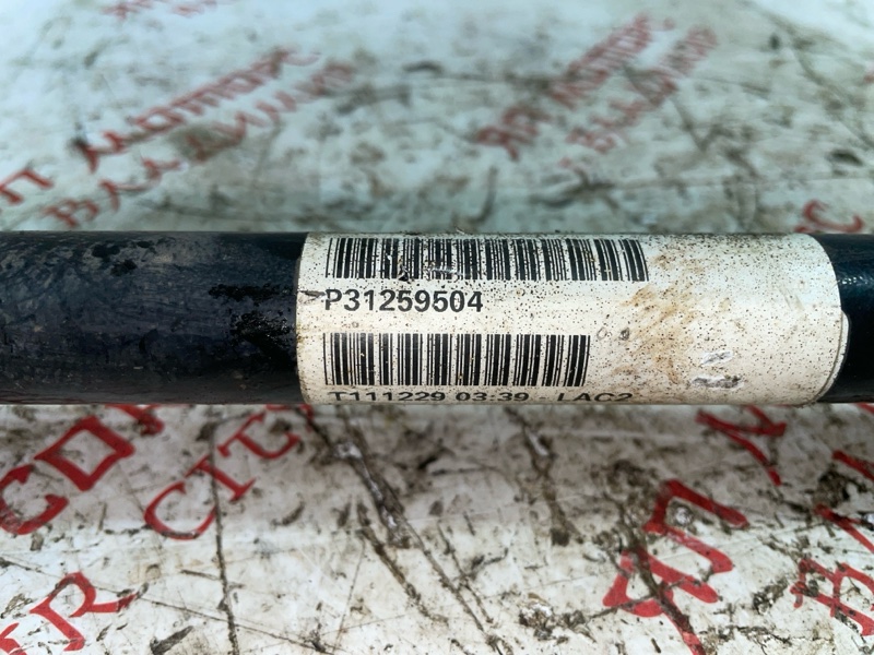 Привод, 2000 рублей, Владимир