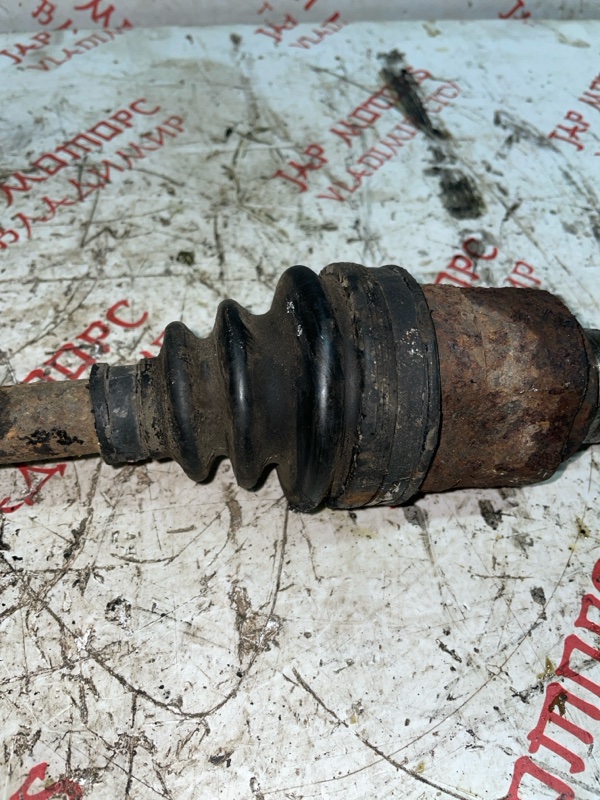 Привод, 3000 рублей, Владимир