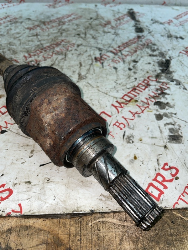 Привод, 3000 рублей, Владимир