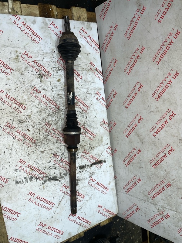 Привод, 4500 рублей, Владимир