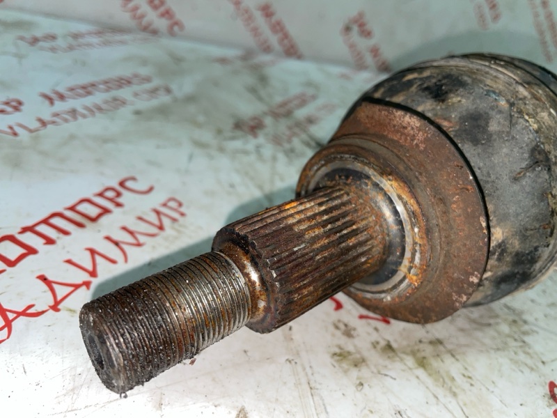 Привод, 5000 рублей, Владимир