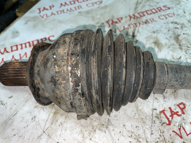 Привод, 5000 рублей, Владимир