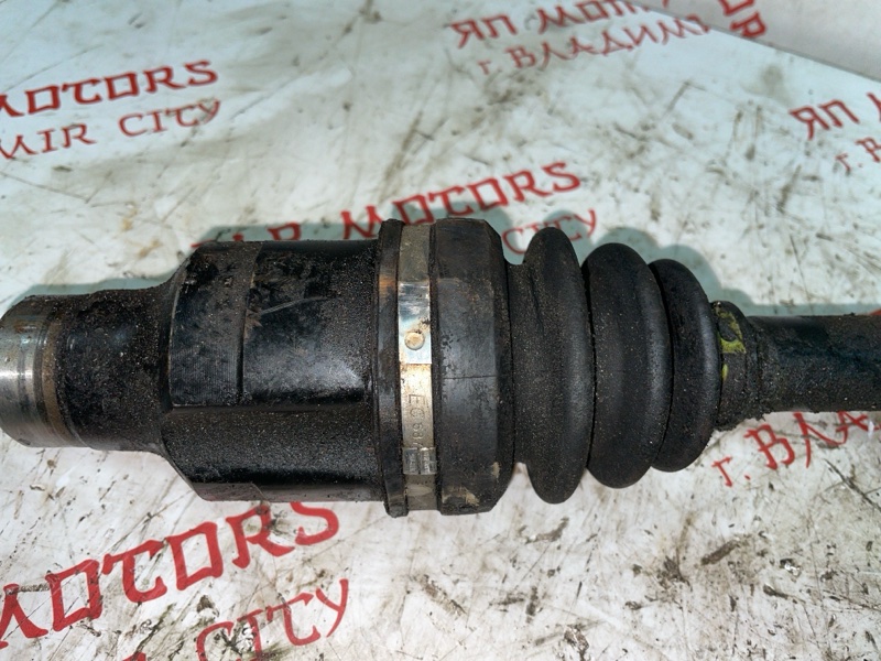 Привод, 3000 рублей, Владимир