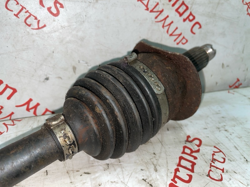 Привод, 3000 рублей, Владимир