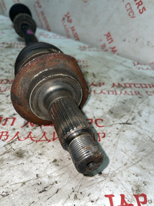 Привод, 3000 рублей, Владимир