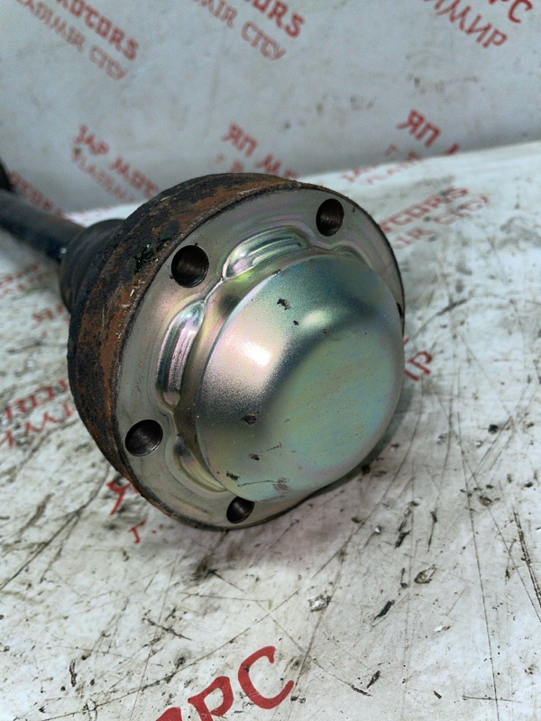 Привод, 2500 рублей, Владимир