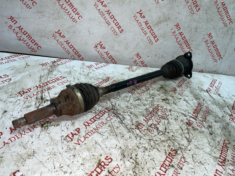 Привод, 3000 рублей, Владимир