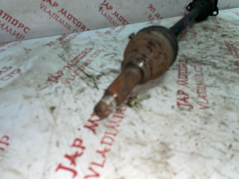 Привод, 3000 рублей, Владимир