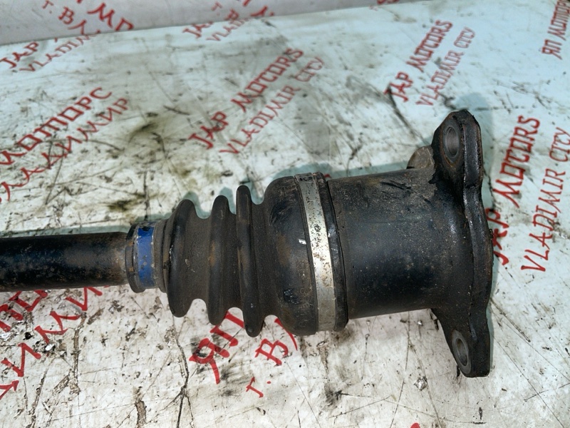 Привод, 3000 рублей, Владимир