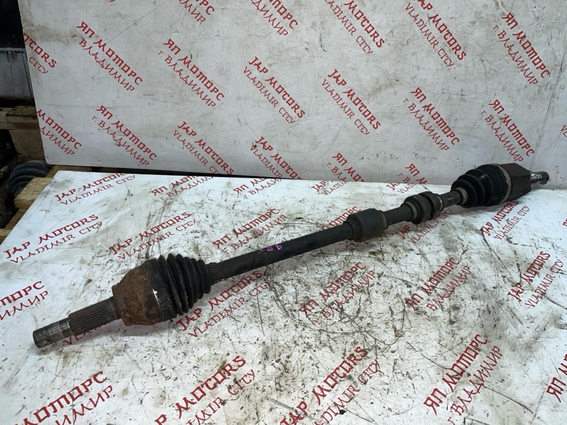 Привод, 5000 рублей, Владимир