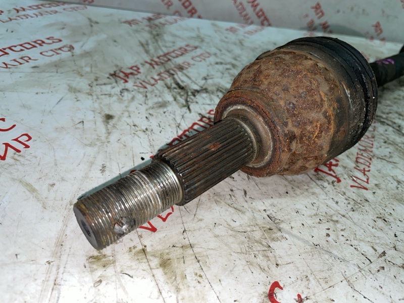 Привод, 5000 рублей, Владимир