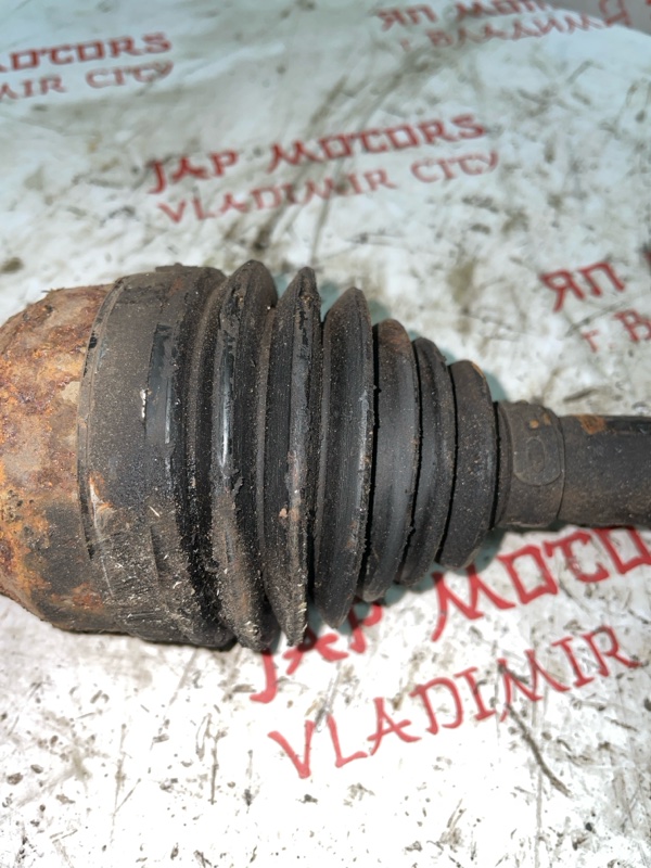 Привод, 5000 рублей, Владимир